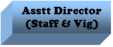 Text Box: Asstt Director (Staff & Vig)
